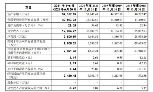 消失的盈利之路 原力數(shù)字IPO面臨的重重挑戰(zhàn)