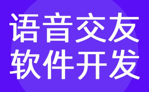 語音交友軟件開發與定制 紅匣子科技的技術轉讓服務
