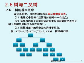 軟件技術基礎與開發 第2章第5節——樹與二叉樹在技術轉讓中的應用